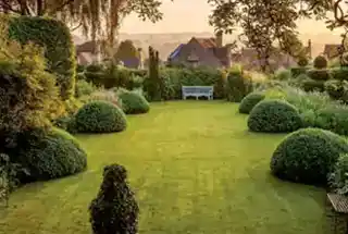 Landscaped Garden